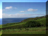 Donegal2.jpg (280280 bytes)