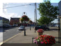 Flowers.jpg (291428 bytes)