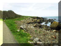 GiantsCause2.jpg (453832 bytes)