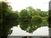 KylemoreAbby.jpg (463270 bytes)